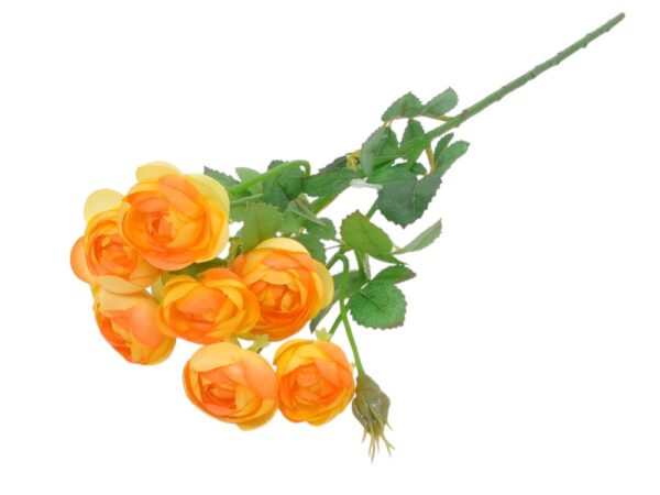 Ranunkulus vejica x3 rumena svila