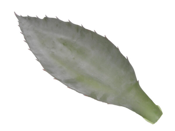 List aloe 36cm zelena plastika