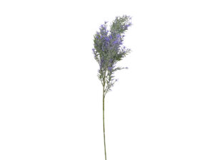 Asparagus vejica 78cm zelena/vijola svila