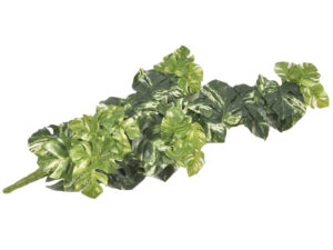 Monstera rt šopek x15 viseča zelena plastika
