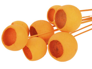 Bel cup na piku /7kos oranžen