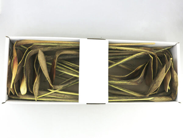 Shoe horn /25kos rumena