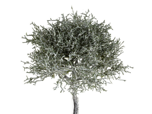 Veja 25cm zelena