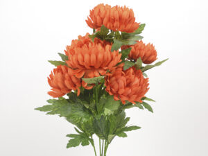 Krizantema šopek x7 temno oranžen