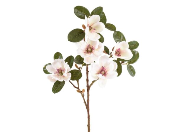 Magnolija vejica x5 cvetov 71cm bela/roza svila