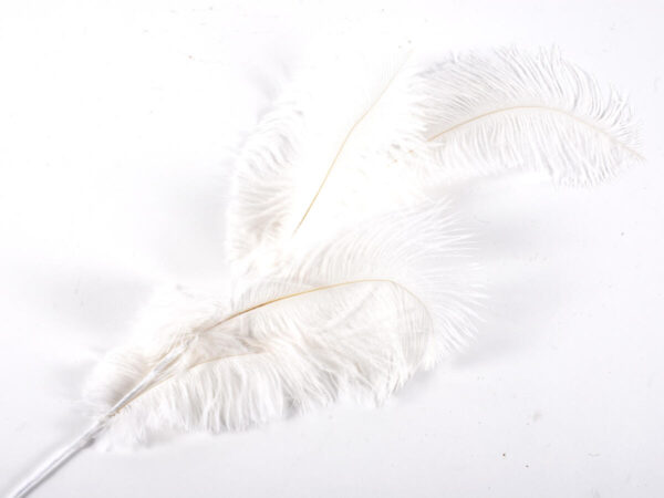 Perje marabou x3 bela perje