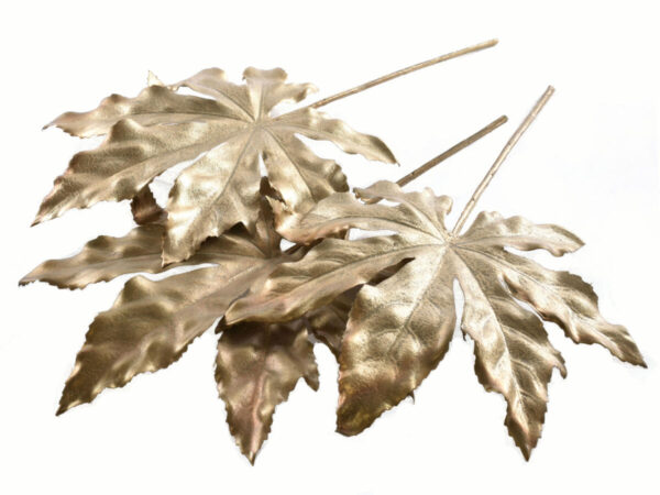 Fatsia listi/3kos zlata svila
