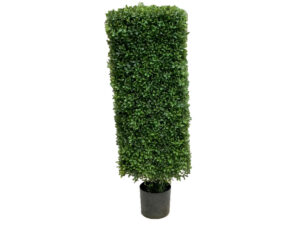 Pušpan kvadraten UV h114cm v črnem loncu zelena plastika