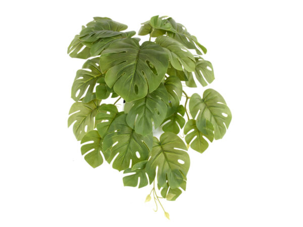 Monstera padajoča zelena plastika