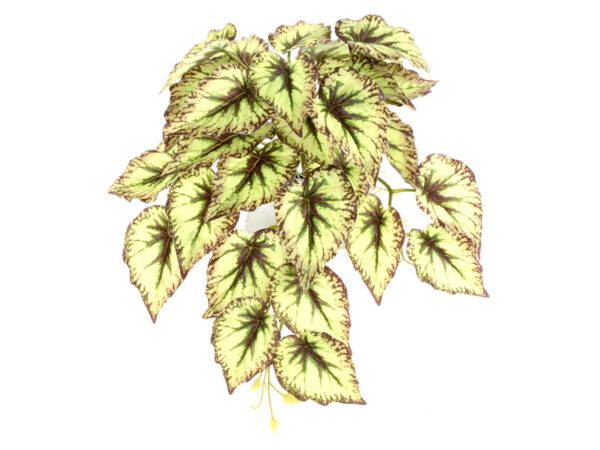 Begonia padajoča šopek zelena plastika