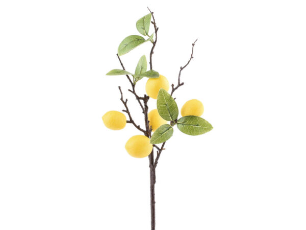 Limonina veja zelena/rumena