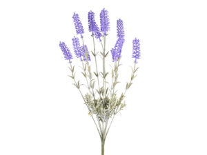 Sivka šopek lavanda plastika
