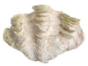 Školjka 30x18,5x20cm bež polirezina