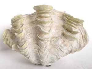 Školjka 30x18,5x20cm bež polirezina