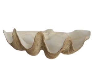 Školjka 52x28x18cm natur polirezina