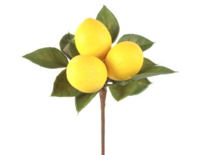 Limonina vejica pik x3 limone rumena