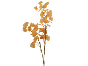 Ginko vejica oranžna svila