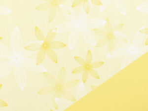 Rola bloom whirl rumena ppl 40my