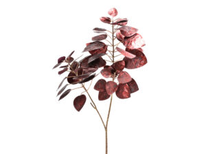 Ruj veja 71cm sijaj bordo plastika