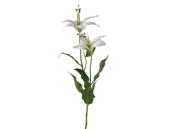 Lilija vejica x 3 bela svila
