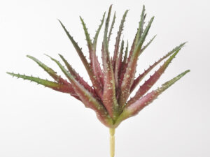 Aloe pick 28cm vijola plastika