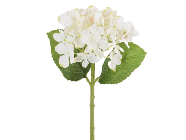 Hortenzija enojna 33cm bela svila