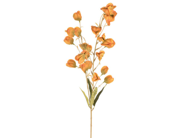 Physalis veja oranžna svila