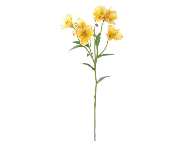 Alstromeria vejica rumena svila