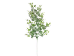 Asparagus vejica zelena plastika