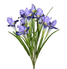 Iris šopek vijola svila