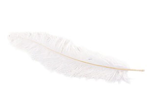 Perje marabou bela perje
